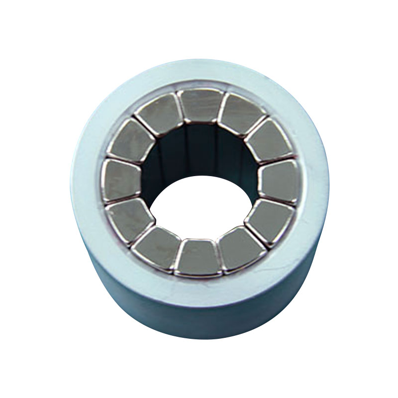 Magnes Komponentów Halbacha